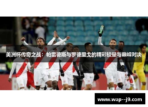 美洲杯传奇之战：帕雷德斯与罗德里戈的精彩较量与巅峰对决