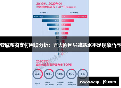 蓉城薪资支付困境分析：五大原因导致薪水不足现象凸显