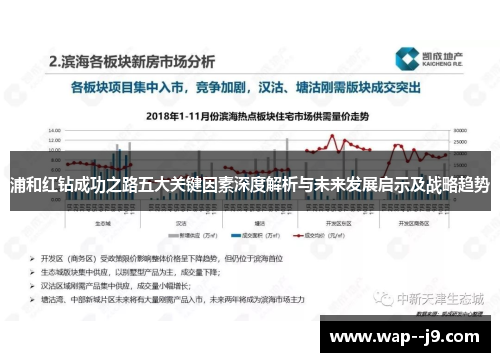 浦和红钻成功之路五大关键因素深度解析与未来发展启示及战略趋势