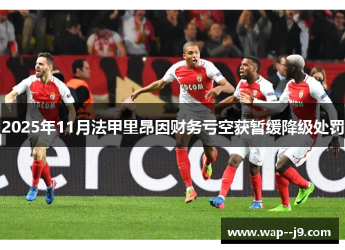 2025年11月法甲里昂因财务亏空获暂缓降级处罚