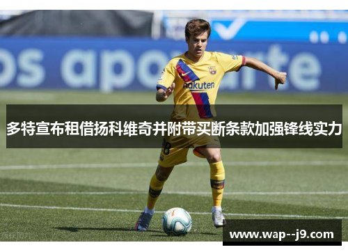 多特宣布租借扬科维奇并附带买断条款加强锋线实力