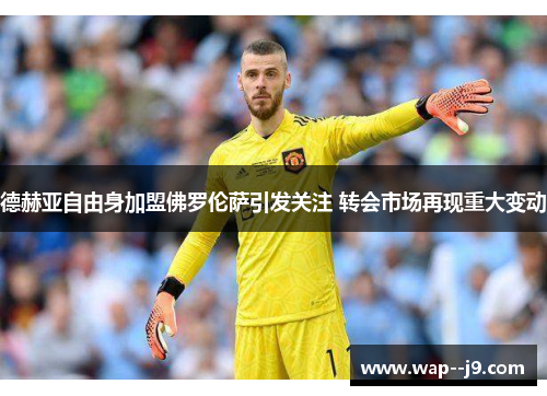 德赫亚自由身加盟佛罗伦萨引发关注 转会市场再现重大变动