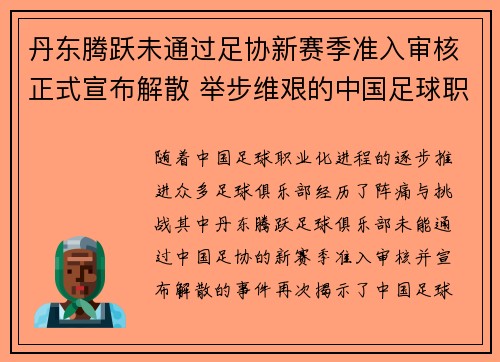 丹东腾跃未通过足协新赛季准入审核正式宣布解散 举步维艰的中国足球职业化困境再现